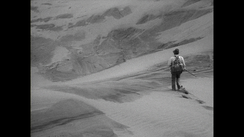 woman-of-the-dunes