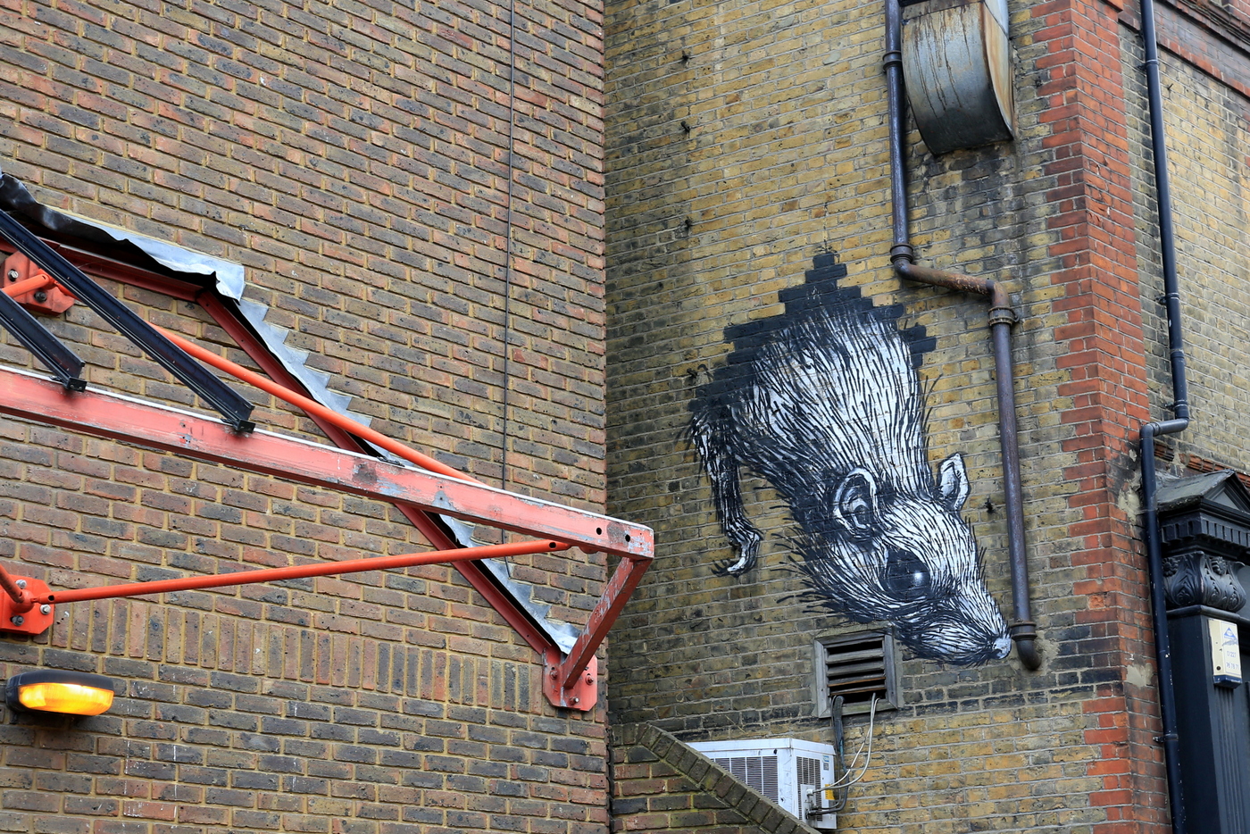 11-roa-rat4