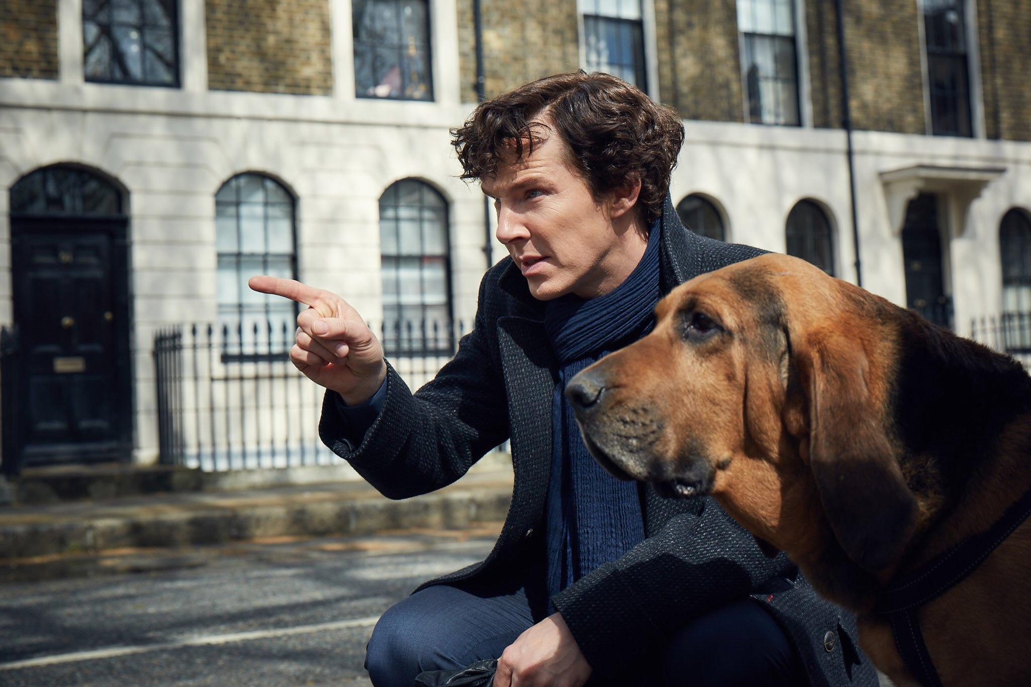 sherlock-season-4-sherlock-with-dog